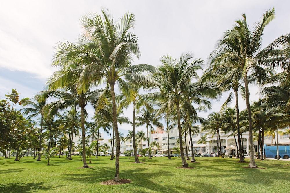 Cardozo Hotel Miami Beach Eksteriør bilde